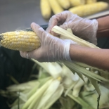 Shucking Corn